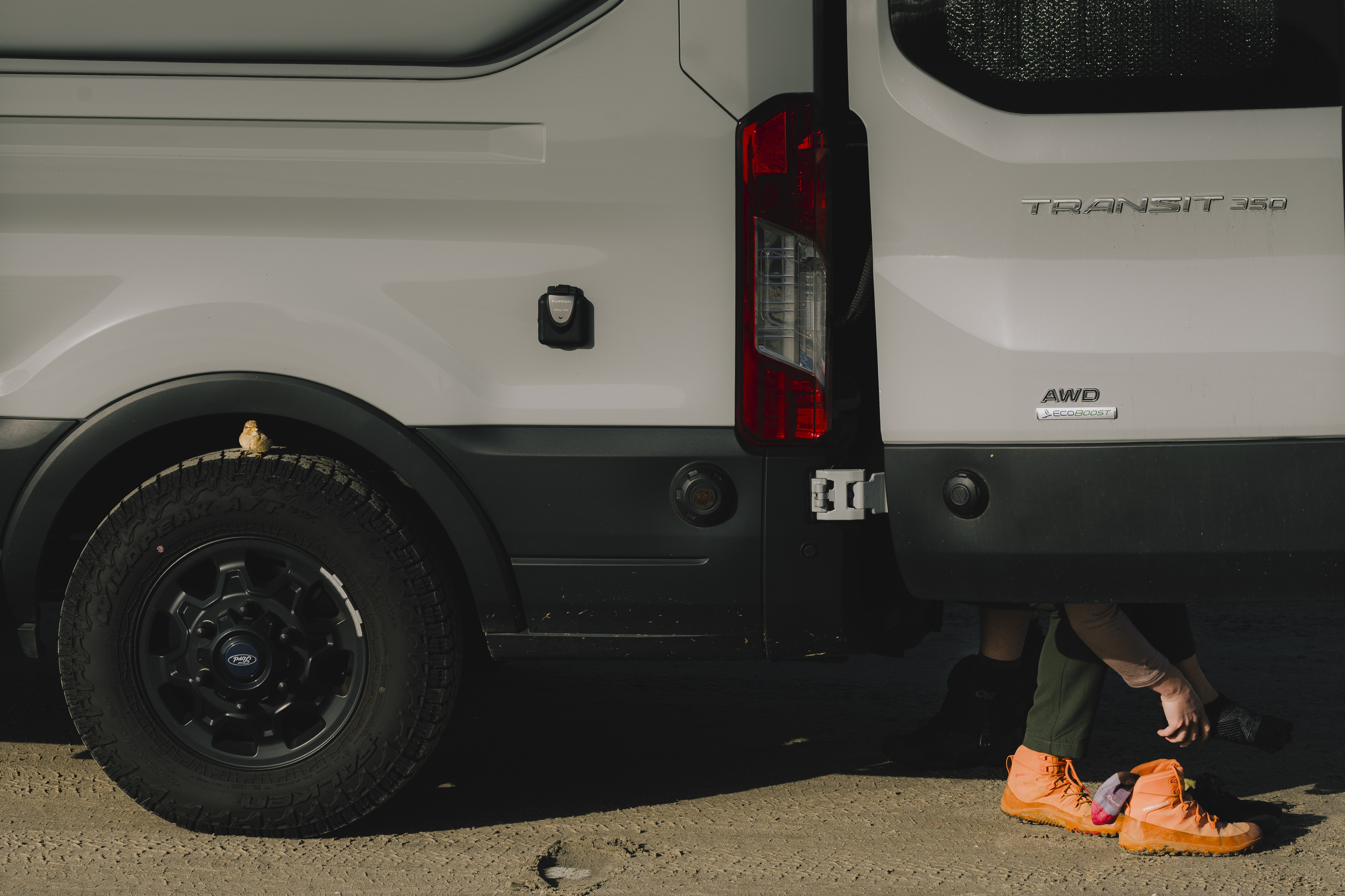 Feeblebunny Official Playlist