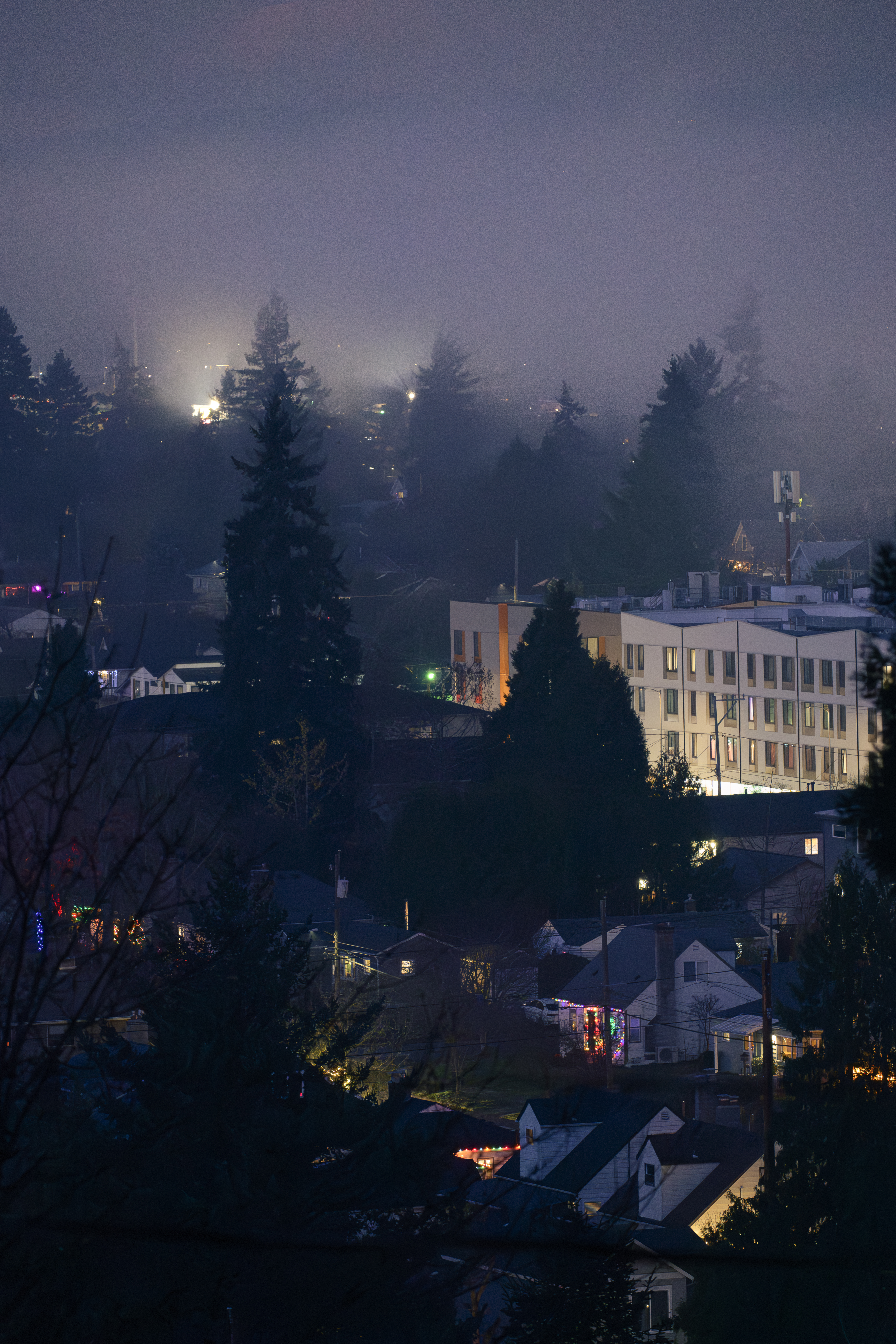 Halfhearted Happy Holidays